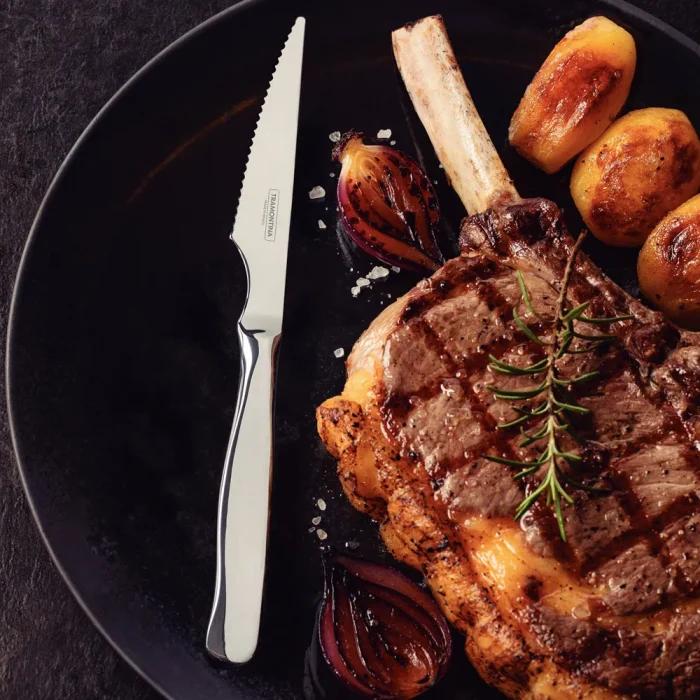 Faqueiro Para Churrasco Zurique Aço Inox Jogo 12 Peças Tramontina
