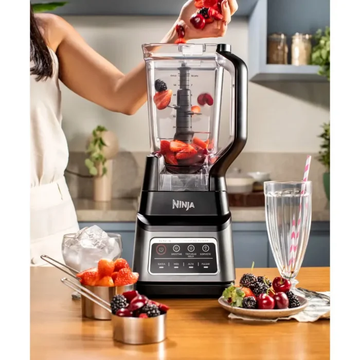 Liquidificador Ninja Standalone Professional Plus 2,1L
