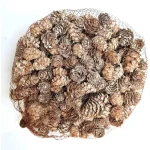 Mini Pinhas Naturais Pinheiro Natal Neve Luxo Decor Natal