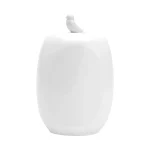 Pote Porcelana Branca Bird Wolff 18 Cm