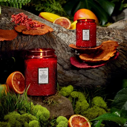 Vela Pote 100h Goji Tarocco Orange